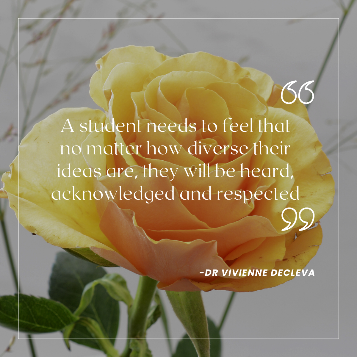 A student needs to feel that no matter how diverse their ideas are, they will be heard, acknowledged and respected" - Dr Vivienne Decleva